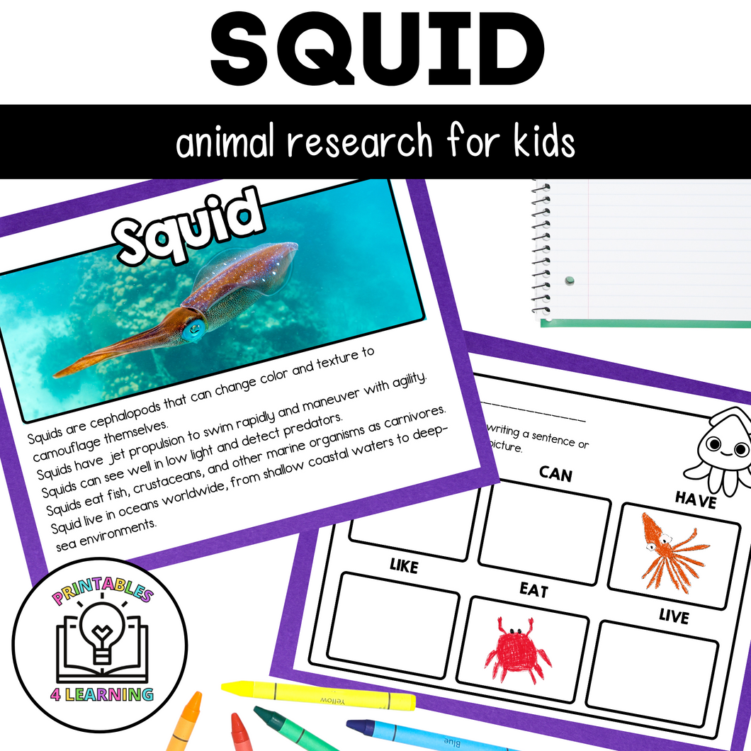 Squid Animal Study for Kids