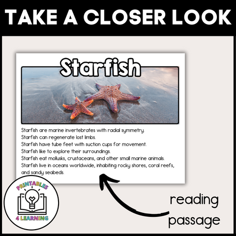 Starfish Animal Study for Kids