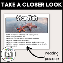 Load image into Gallery viewer, Starfish Animal Study for Kids
