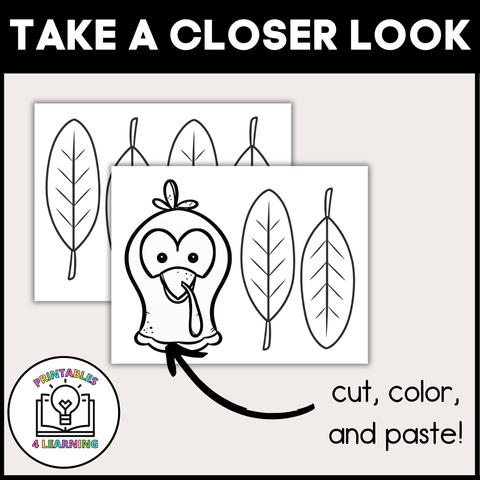 Turkey Hat Craft for Kids (Printable Thanksgiving Activity)