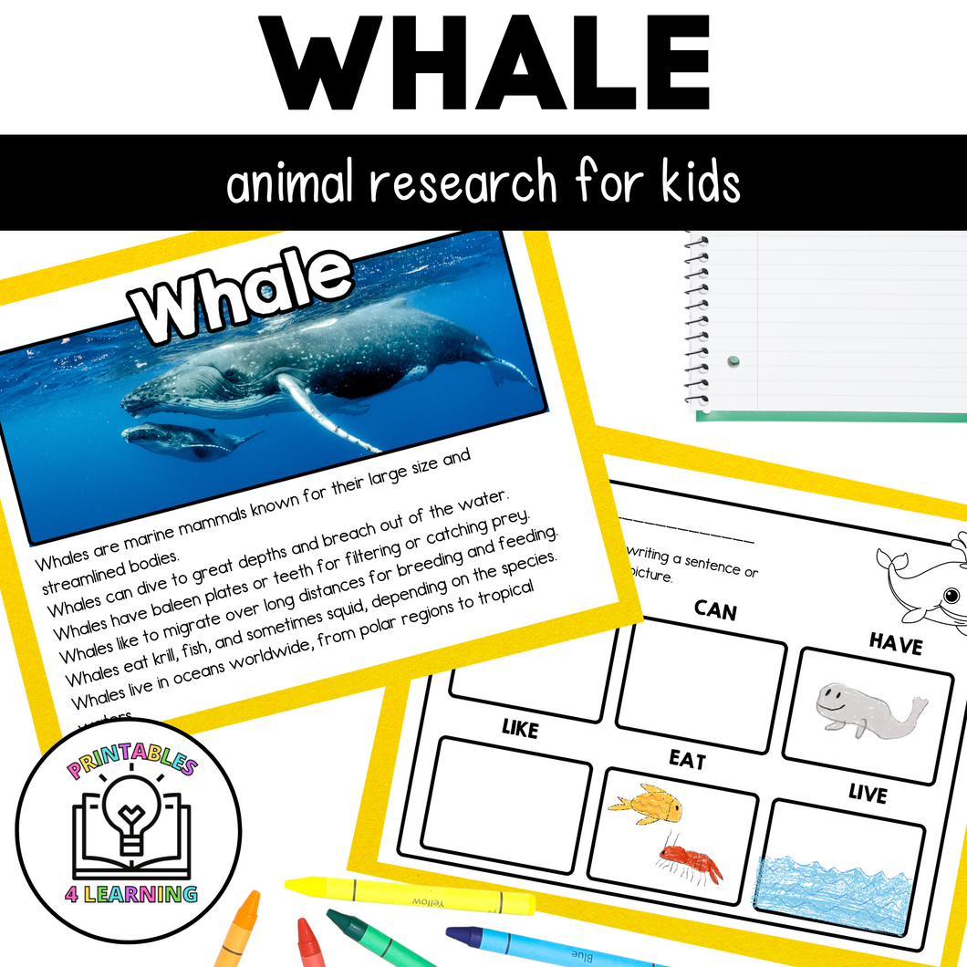 Whale Animal Study for Kids