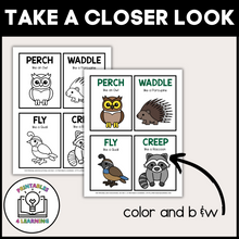 Load image into Gallery viewer, Woodland Animal Movement Cards for Brain Break Activities
