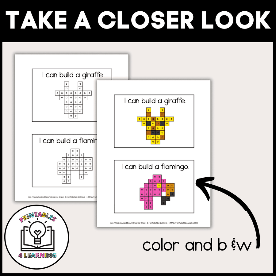 Zoo Snap Cube Task Box
