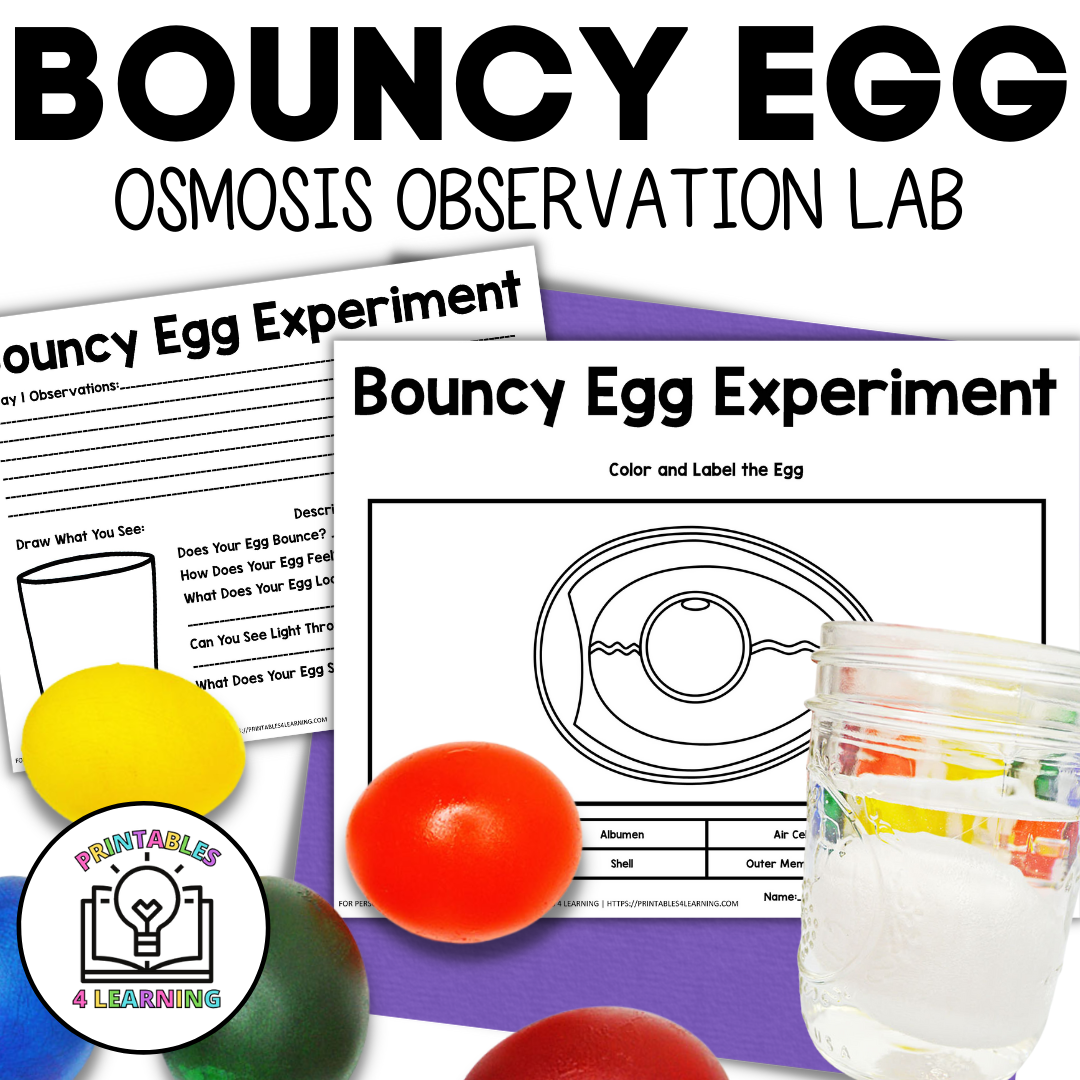 osmosis egg experiment observation