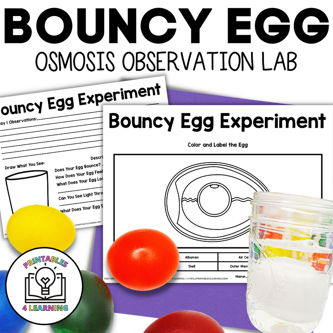 Bouncy Egg Science Observation Experiment: Osmosis Lab