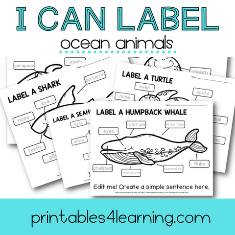 Editable Label an Ocean Animal Worksheets and Mini Book