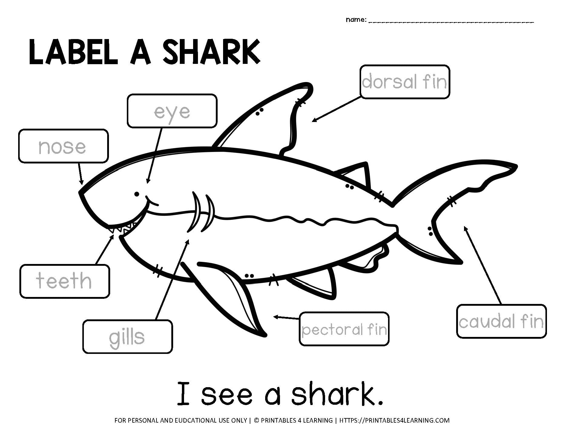 Label Animal Parts