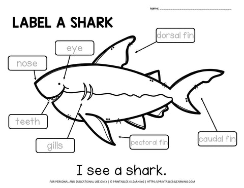 Editable Label an Ocean Animal Worksheets and Mini Book