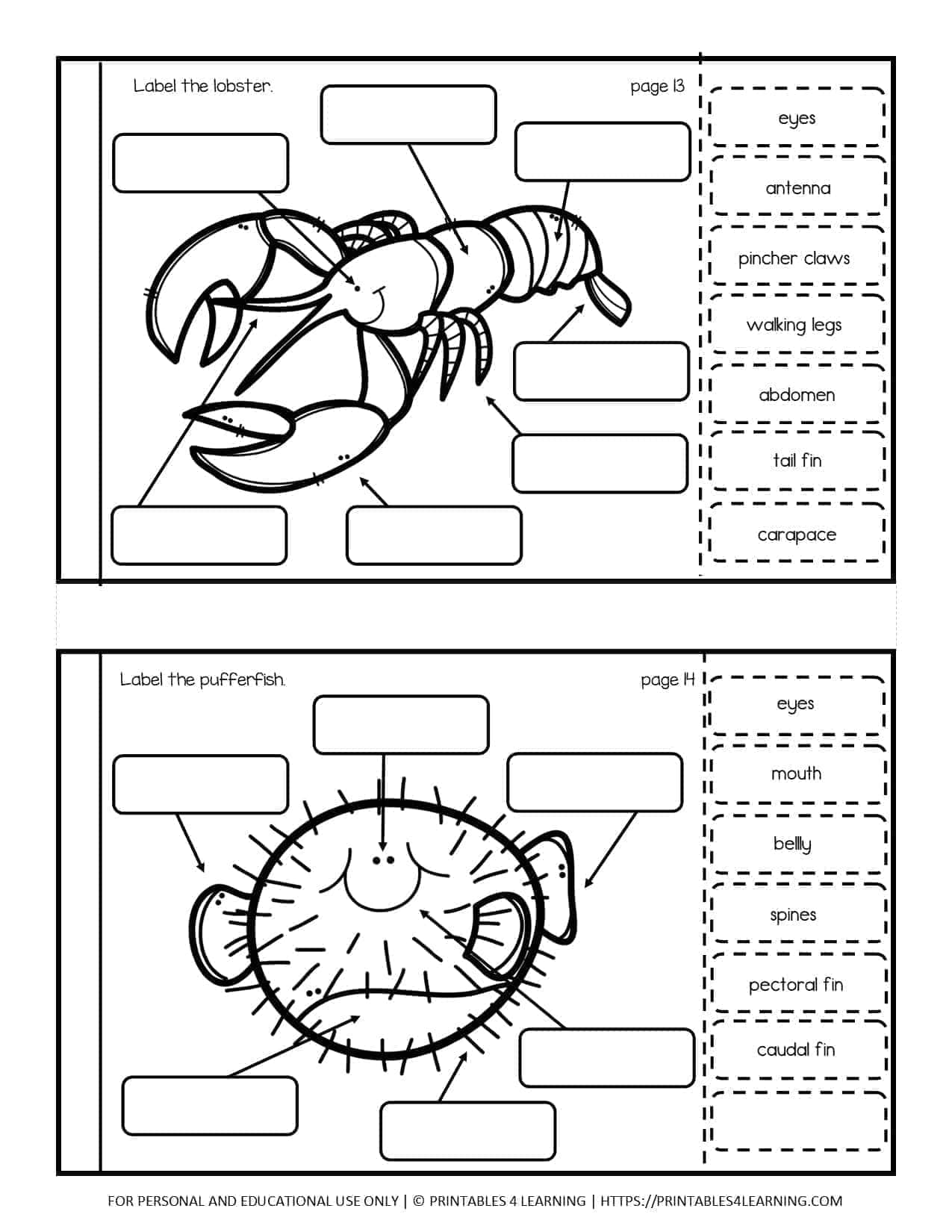 Label Animal Parts